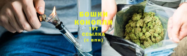 спиды Майский