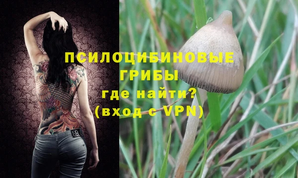 спиды Майский