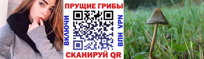 Псилоцибиновые грибы Magic Shrooms  купить наркотики цена  Наро-Фоминск 